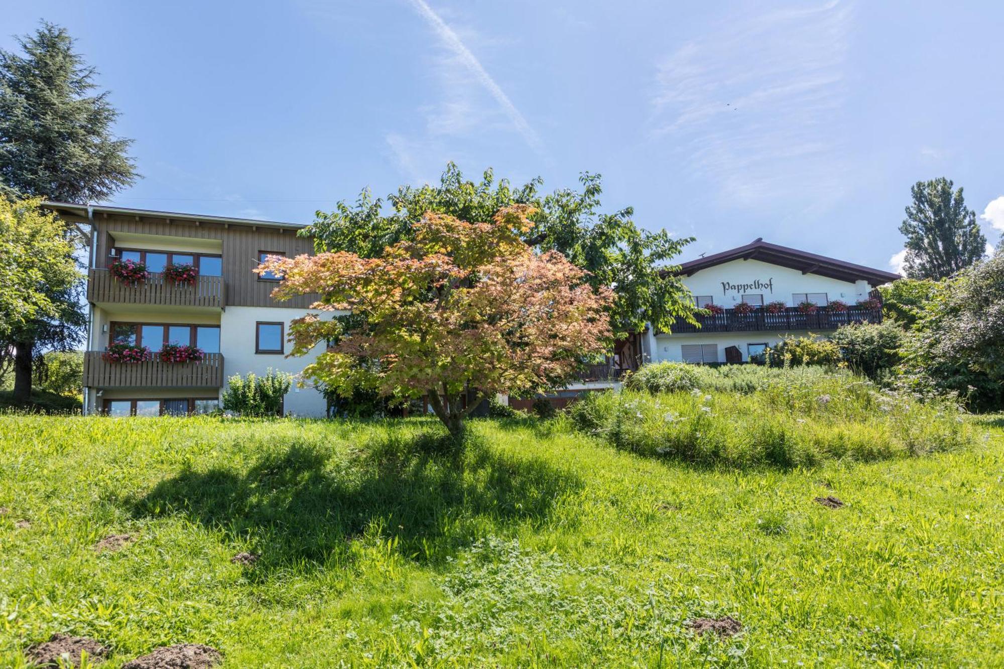 Pappelhof Apartment Bad Bellingen Bagian luar foto