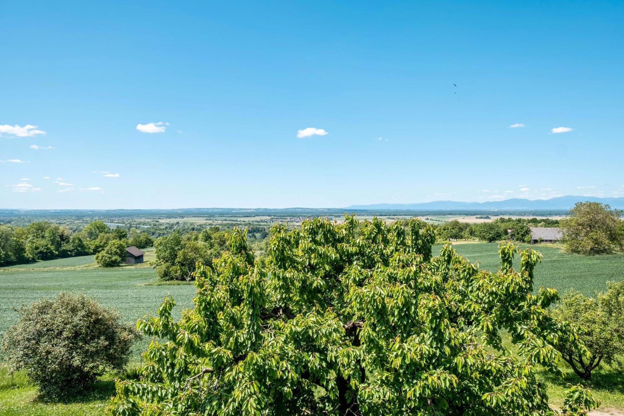 Pappelhof Apartment Bad Bellingen Bagian luar foto