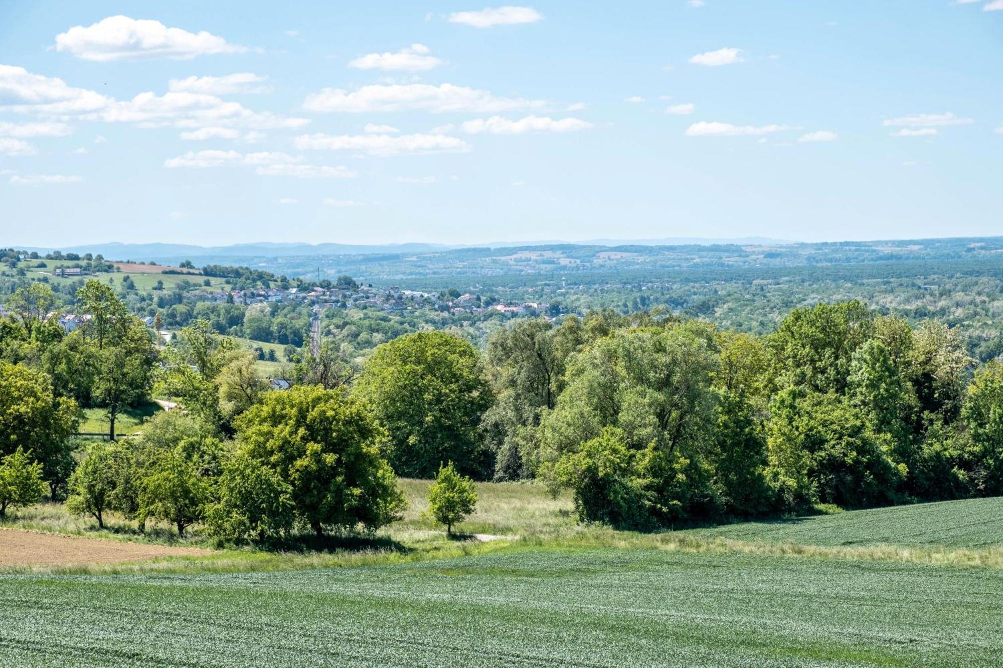 Pappelhof Apartment Bad Bellingen Bagian luar foto